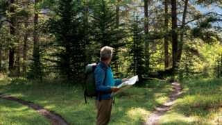 Man hiking in forest looking at map deciding which path to take